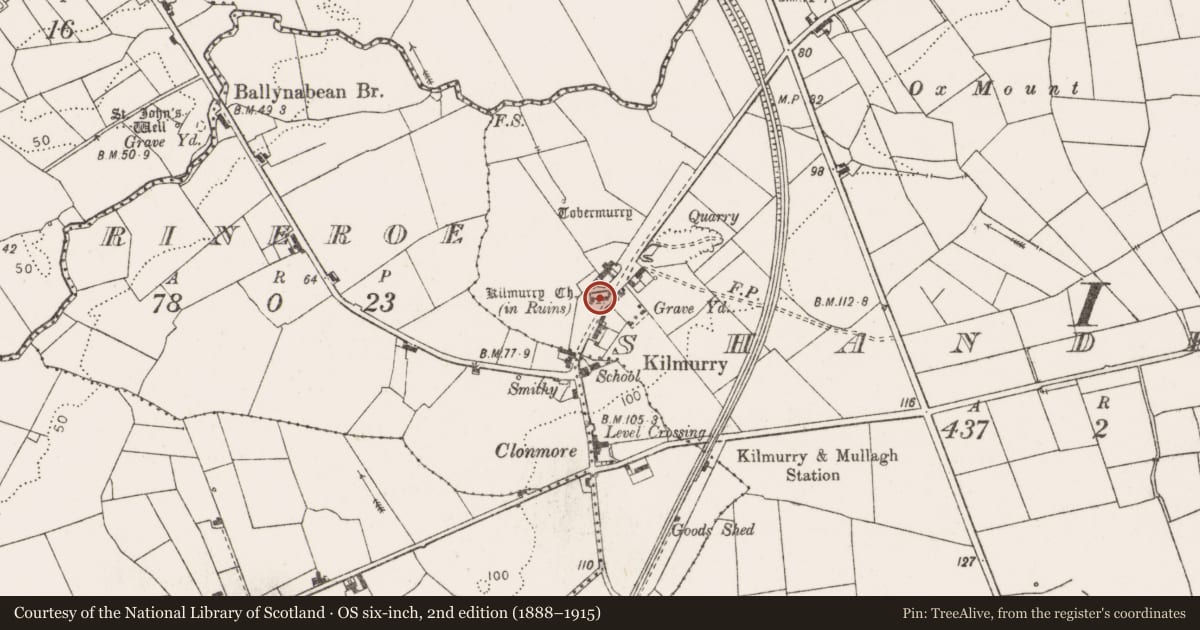 Ordnance Survey six-inch map, 2nd edition (1888–1915) covering the location of Stone sculpture, Shandrum, County Clare, with a pin at the register's coordinates