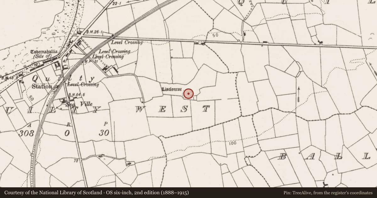 Ordnance Survey six-inch map, 2nd edition (1888–1915) covering the location of Ringfort - rath, Quilty West, County Clare, with a pin at the register's coordinates