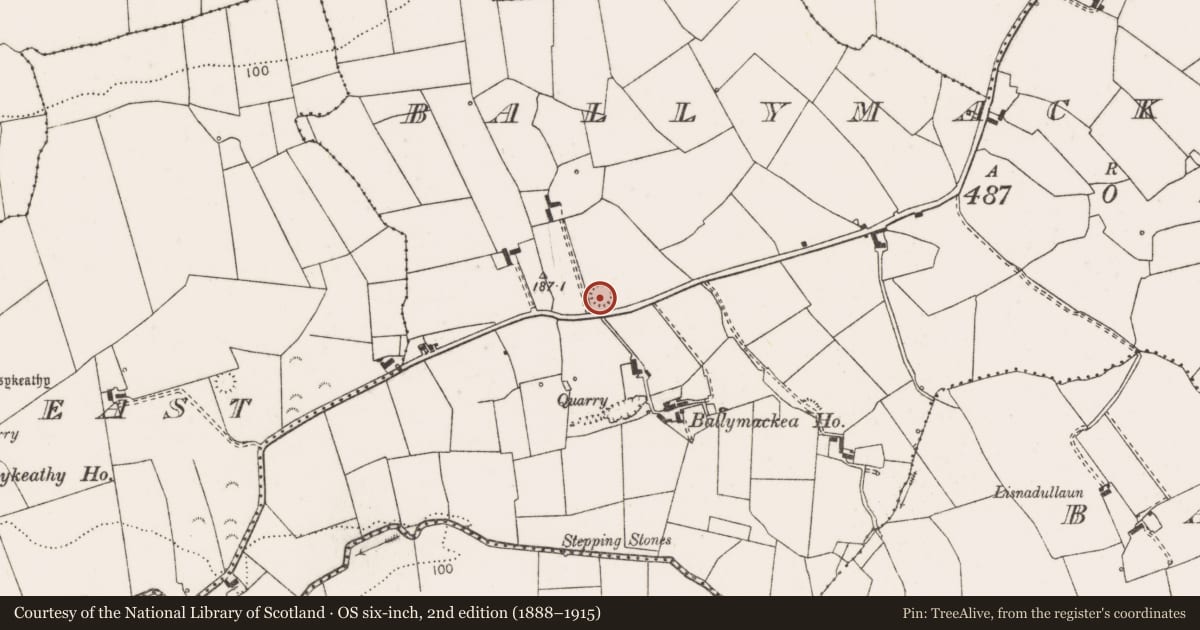Ordnance Survey six-inch map, 2nd edition (1888–1915) covering the location of Ringfort - rath, Ballymackea More, County Clare, with a pin at the register's coordinates