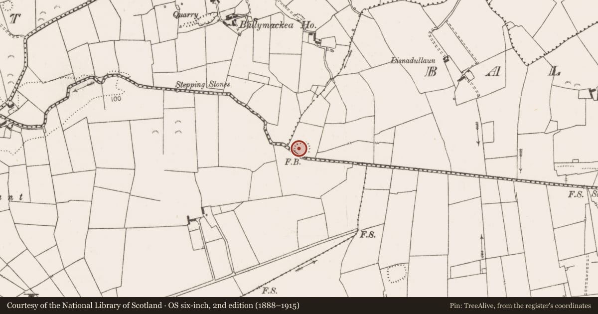 Ordnance Survey six-inch map, 2nd edition (1888–1915) covering the location of Ringfort - rath, Ballymackea Beg, County Clare, with a pin at the register's coordinates