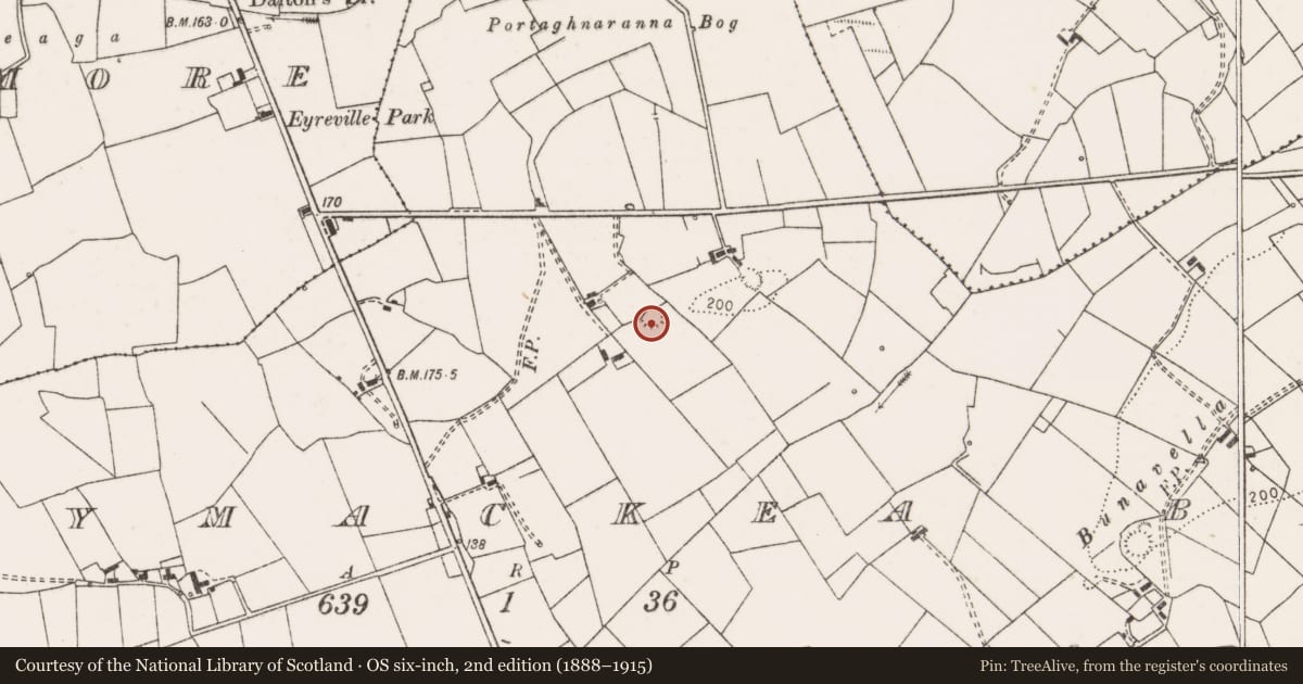 Ordnance Survey six-inch map, 2nd edition (1888–1915) covering the location of Ringfort - rath, Ballymackea Beg, County Clare, with a pin at the register's coordinates