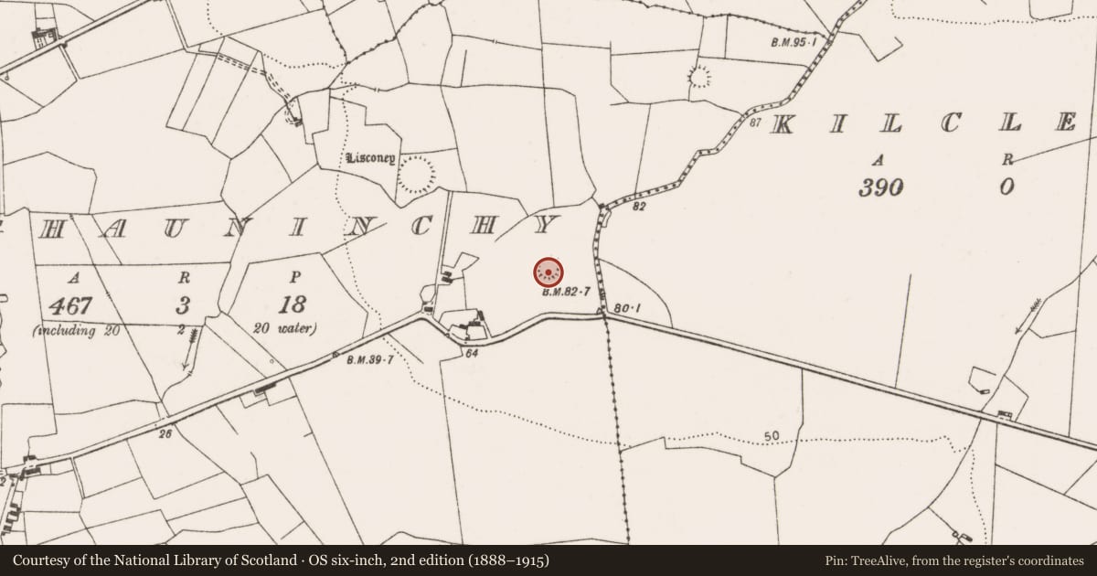 Ordnance Survey six-inch map, 2nd edition (1888–1915) covering the location of Ringfort - rath, Cloghauninchy, County Clare, with a pin at the register's coordinates