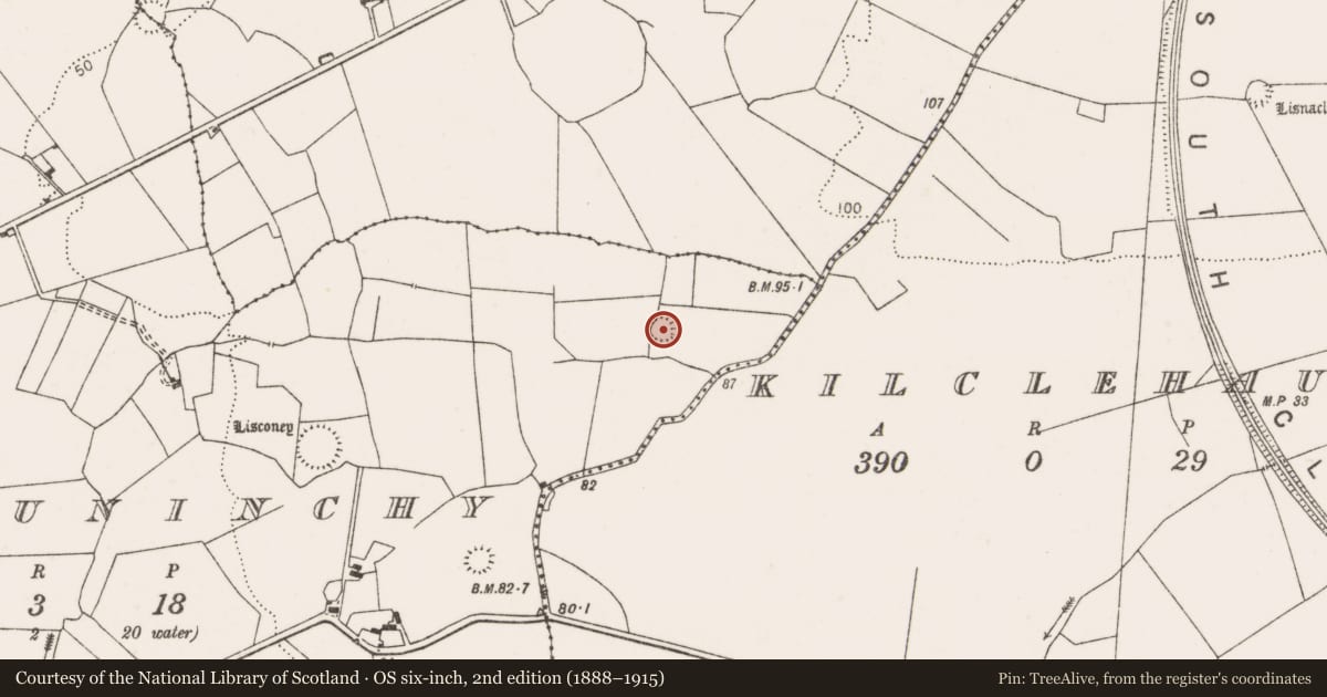 Ordnance Survey six-inch map, 2nd edition (1888–1915) covering the location of Ringfort - rath, Cloghauninchy, County Clare, with a pin at the register's coordinates