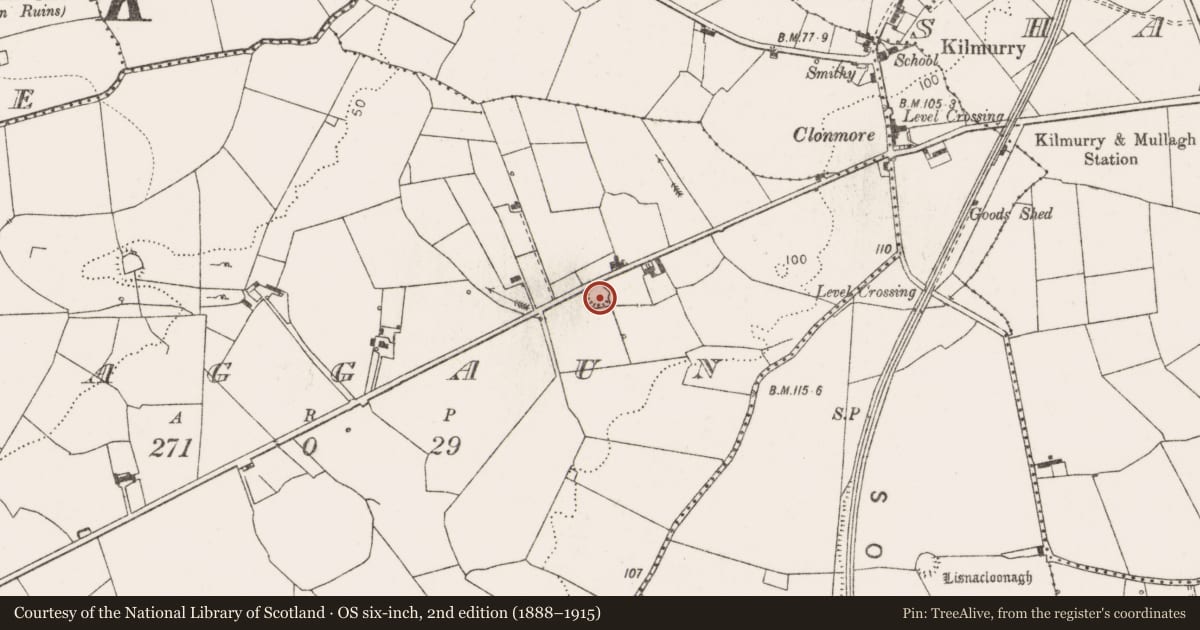 Ordnance Survey six-inch map, 2nd edition (1888–1915) covering the location of Ringfort - rath, Craggaun, County Clare, with a pin at the register's coordinates