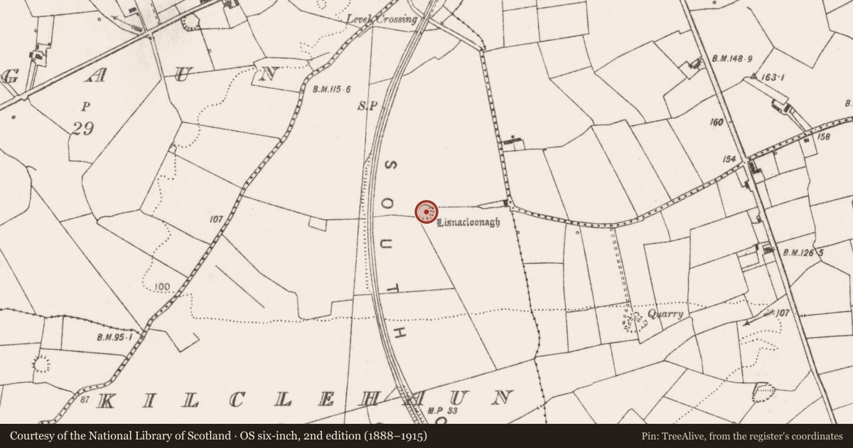 Ordnance Survey six-inch map, 2nd edition (1888–1915) covering the location of Ringfort - rath, Kilclehaun, County Clare, with a pin at the register's coordinates