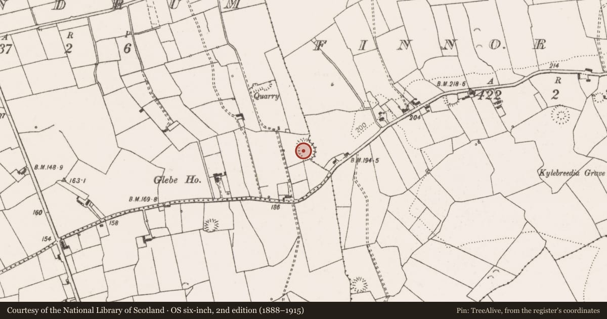 Ordnance Survey six-inch map, 2nd edition (1888–1915) covering the location of Ringfort - rath, Shandrum, Finnor More, County Clare, with a pin at the register's coordinates