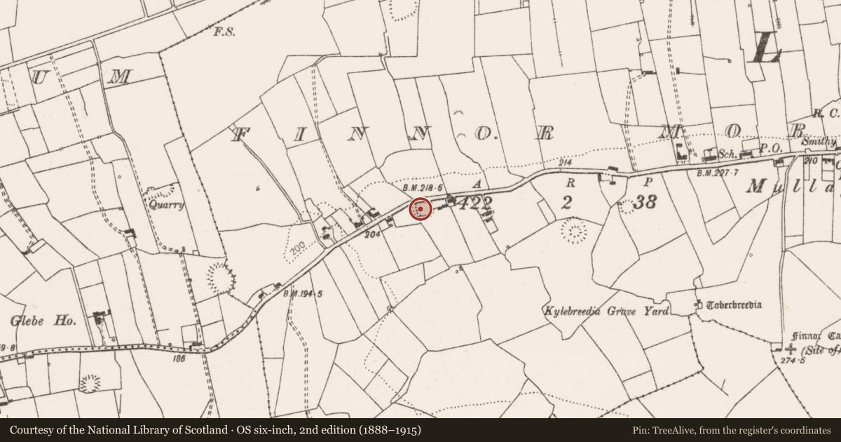 Ordnance Survey six-inch map, 2nd edition (1888–1915) covering the location of Ringfort - rath, Finnor More, County Clare, with a pin at the register's coordinates