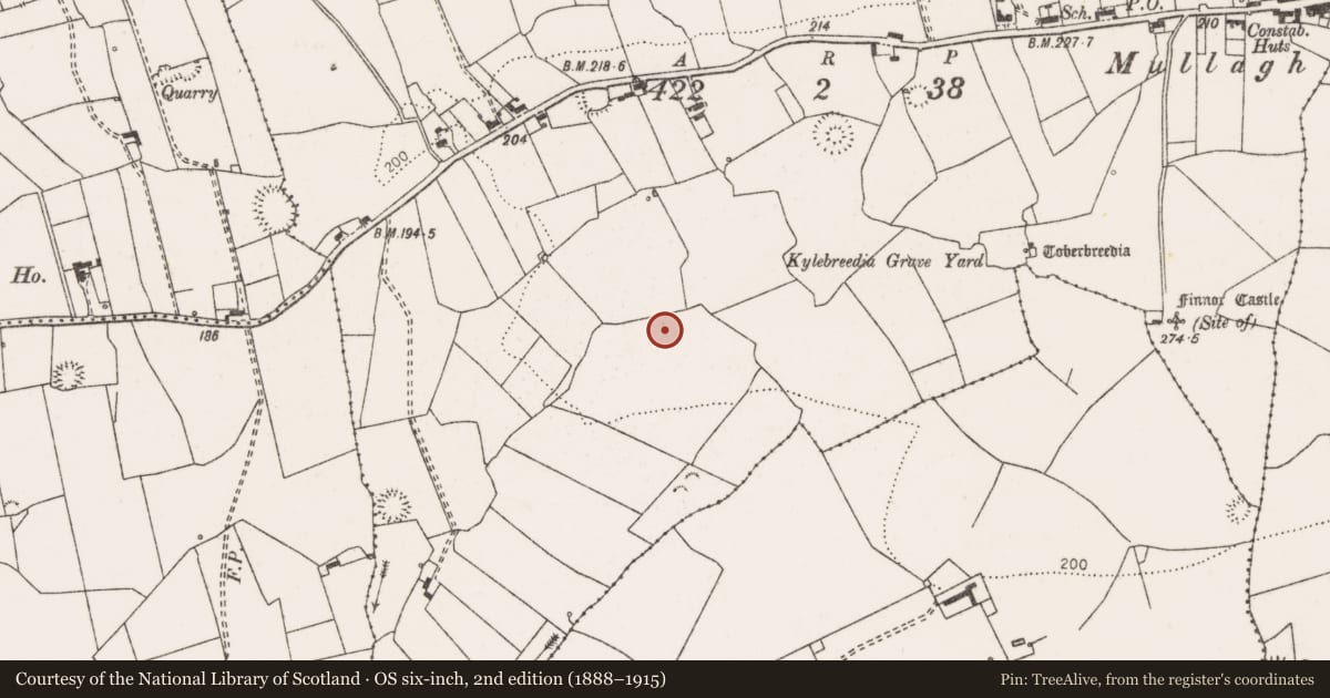 Ordnance Survey six-inch map, 2nd edition (1888–1915) covering the location of Hut site, Finnor More, County Clare, with a pin at the register's coordinates