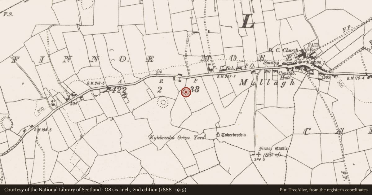 Ordnance Survey six-inch map, 2nd edition (1888–1915) covering the location of Ringfort - rath, Finnor More, County Clare, with a pin at the register's coordinates