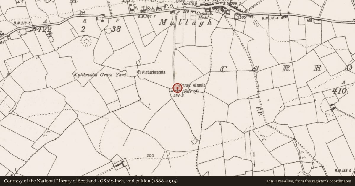 Ordnance Survey six-inch map, 2nd edition (1888–1915) covering the location of Earthwork, Finnor More, County Clare, with a pin at the register's coordinates
