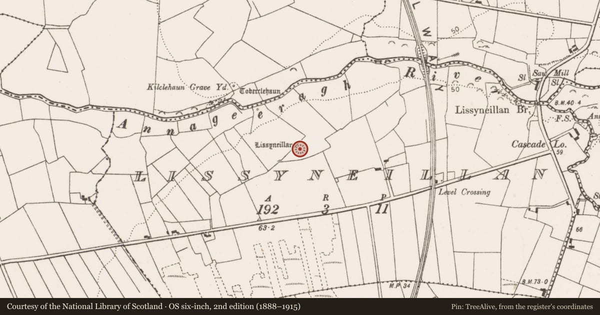 Ordnance Survey six-inch map, 2nd edition (1888–1915) covering the location of Ringfort - rath, Lissyneillan, County Clare, with a pin at the register's coordinates