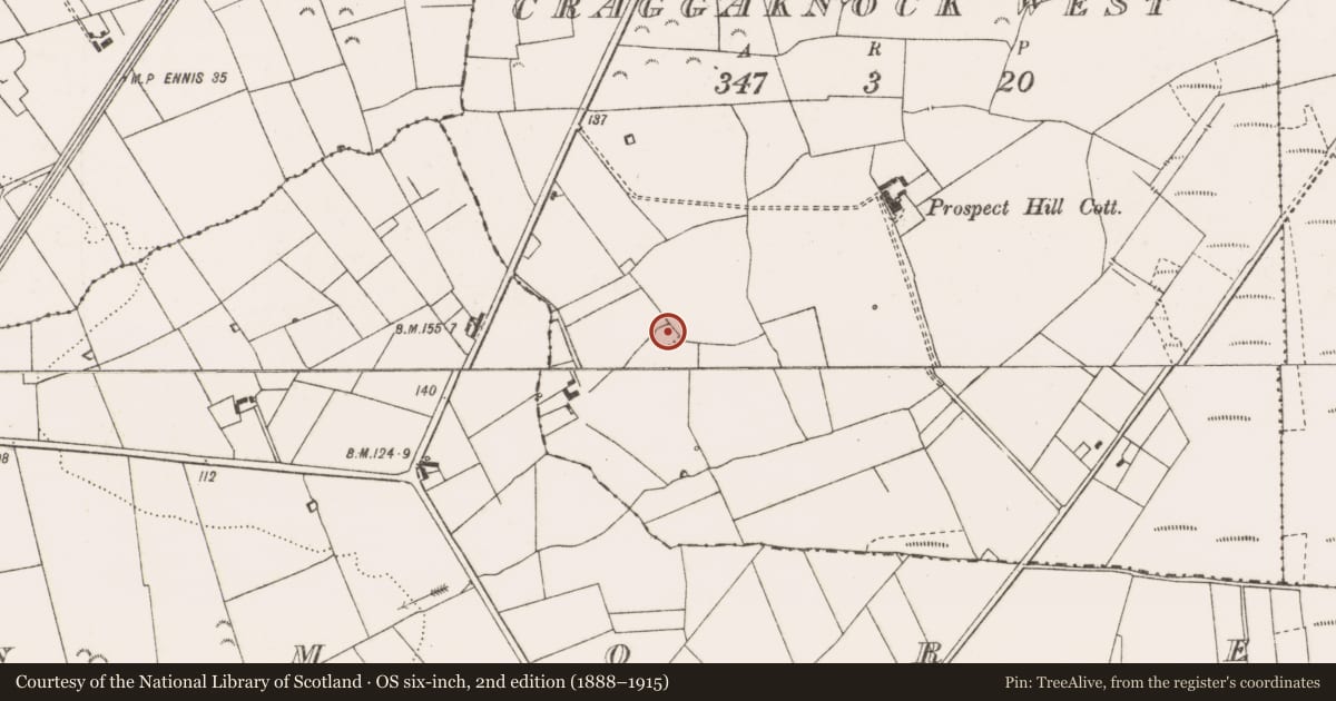 Ordnance Survey six-inch map, 2nd edition (1888–1915) covering the location of Ringfort - rath, Craggaknock West, County Clare, with a pin at the register's coordinates