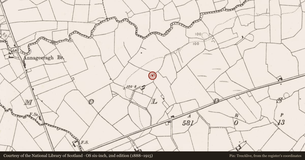 Ordnance Survey six-inch map, 2nd edition (1888–1915) covering the location of Ringfort - rath, Molosky, County Clare, with a pin at the register's coordinates
