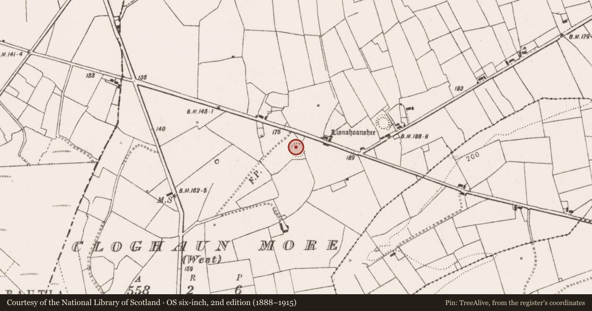 Ordnance Survey six-inch map, 2nd edition (1888–1915) covering the location of Ringfort - rath, Cloghaun More (West), County Clare, with a pin at the register's coordinates
