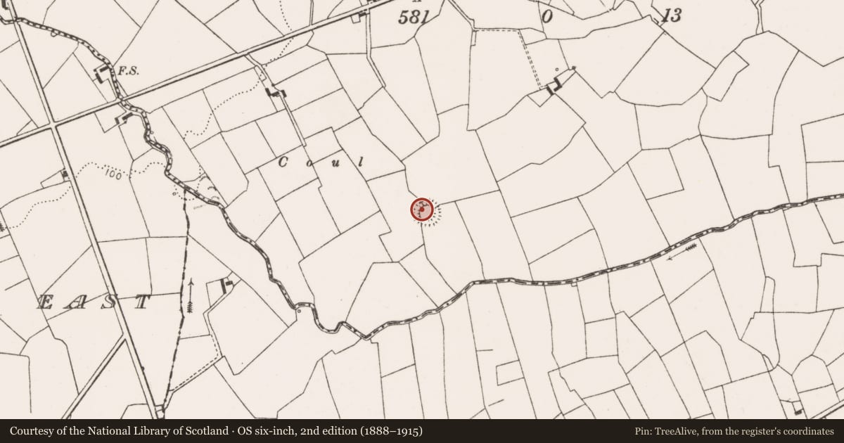 Ordnance Survey six-inch map, 2nd edition (1888–1915) covering the location of Ringfort - rath, Molosky, County Clare, with a pin at the register's coordinates
