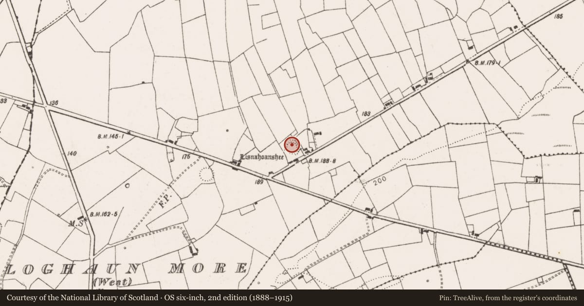 Ordnance Survey six-inch map, 2nd edition (1888–1915) covering the location of Ringfort - rath, Cloghaun More (West), County Clare, with a pin at the register's coordinates