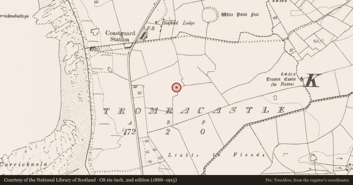 Ordnance Survey six-inch map, 2nd edition (1888–1915) covering the location of Ringfort - rath, Tromracastle, County Clare, with a pin at the register's coordinates
