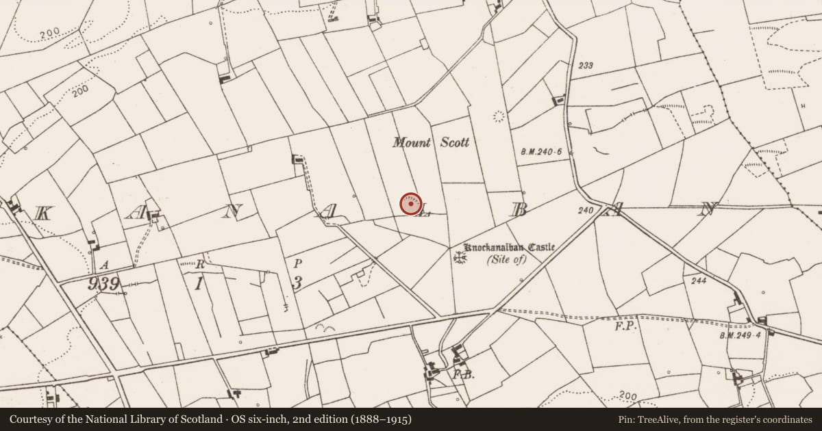 Ordnance Survey six-inch map, 2nd edition (1888–1915) covering the location of Earthwork, Knockanalban, County Clare, with a pin at the register's coordinates