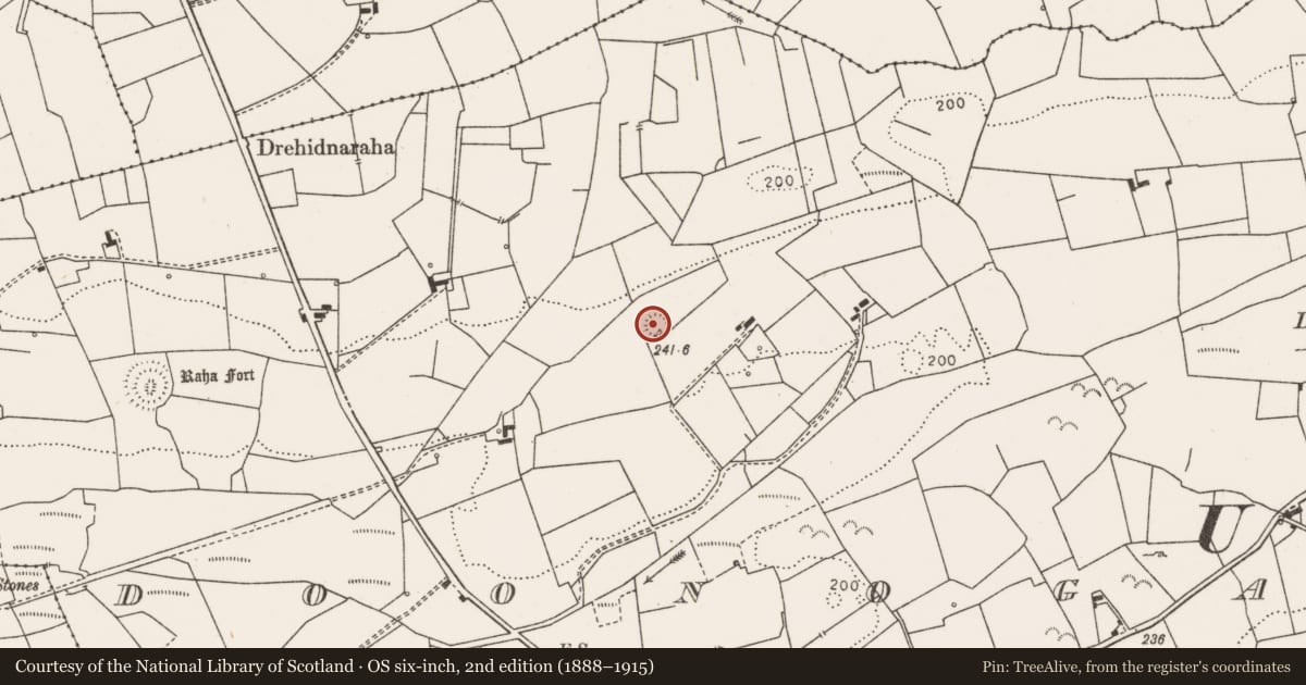 Ordnance Survey six-inch map, 2nd edition (1888–1915) covering the location of Ringfort - rath, Doonogan, County Clare, with a pin at the register's coordinates
