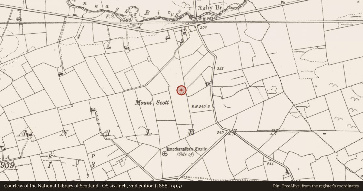 Ordnance Survey six-inch map, 2nd edition (1888–1915) covering the location of Ringfort - rath, Knockanalban, County Clare, with a pin at the register's coordinates