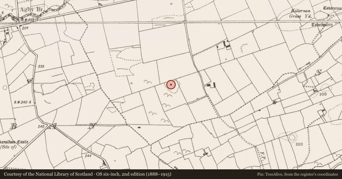 Ordnance Survey six-inch map, 2nd edition (1888–1915) covering the location of Ringfort - rath, Killernan, County Clare, with a pin at the register's coordinates