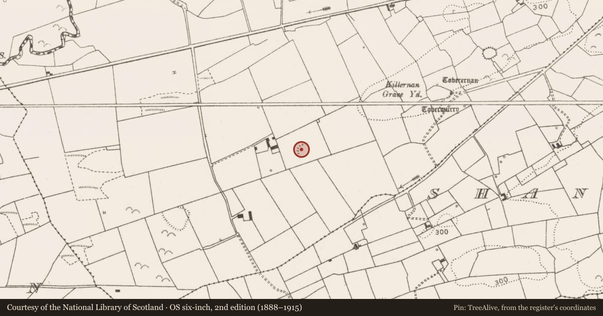 Ordnance Survey six-inch map, 2nd edition (1888–1915) covering the location of Ringfort - rath, Killernan, County Clare, with a pin at the register's coordinates