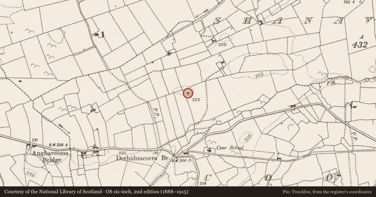 Ordnance Survey six-inch map, 2nd edition (1888–1915) covering the location of Ringfort - rath, Shanavogh West, County Clare, with a pin at the register's coordinates