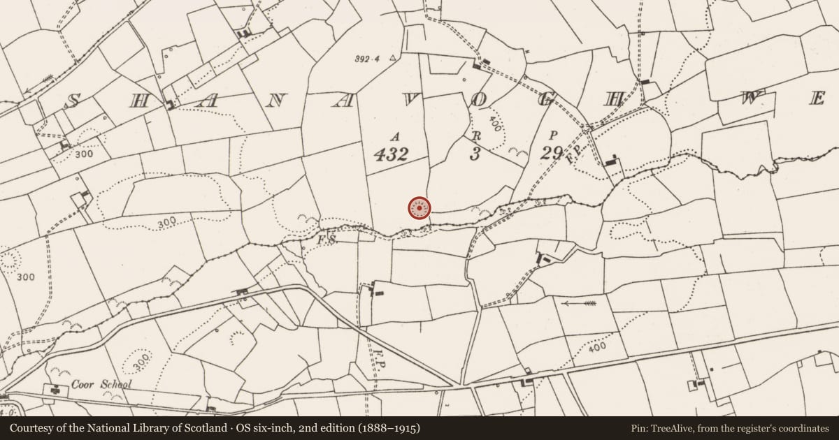 Ordnance Survey six-inch map, 2nd edition (1888–1915) covering the location of Ringfort - rath, Shanavogh West, County Clare, with a pin at the register's coordinates