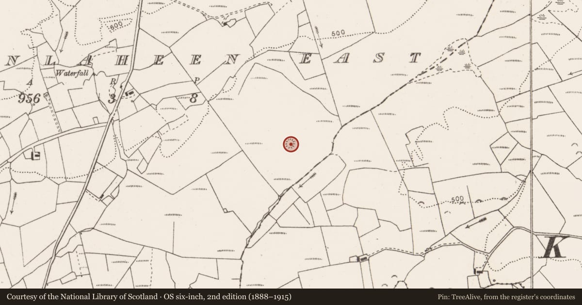 Ordnance Survey six-inch map, 2nd edition (1888–1915) covering the location of Ringfort - rath, Cloonlaheen East, County Clare, with a pin at the register's coordinates