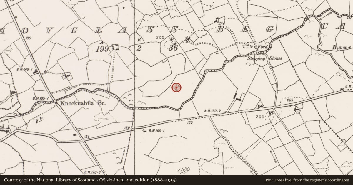 Ordnance Survey six-inch map, 2nd edition (1888–1915) covering the location of Ringfort - rath, Moyglass Beg, County Clare, with a pin at the register's coordinates