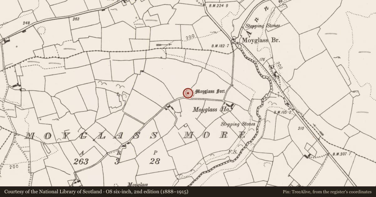 Ordnance Survey six-inch map, 2nd edition (1888–1915) covering the location of Ringfort - rath, Moyglass More, County Clare, with a pin at the register's coordinates