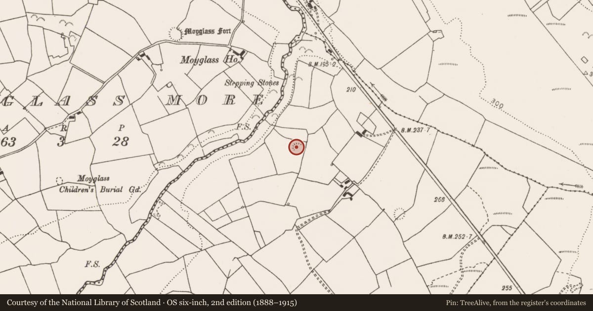 Ordnance Survey six-inch map, 2nd edition (1888–1915) covering the location of Ringfort - rath, Carrownagry North, County Clare, with a pin at the register's coordinates