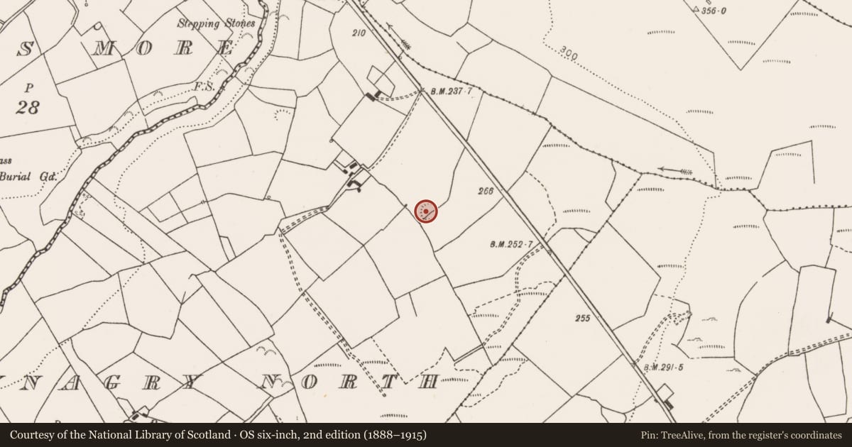 Ordnance Survey six-inch map, 2nd edition (1888–1915) covering the location of Ringfort - rath, Carrownagry North, County Clare, with a pin at the register's coordinates