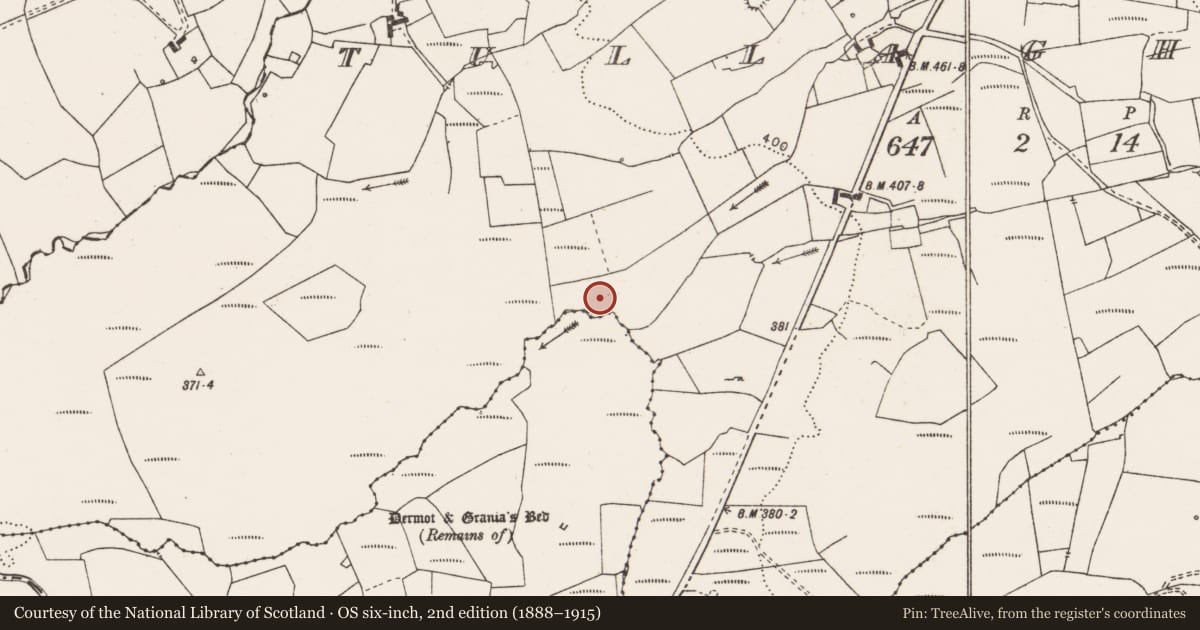 Ordnance Survey six-inch map, 2nd edition (1888–1915) covering the location of Children's burial ground, Tullaghaboy, County Clare, with a pin at the register's coordinates