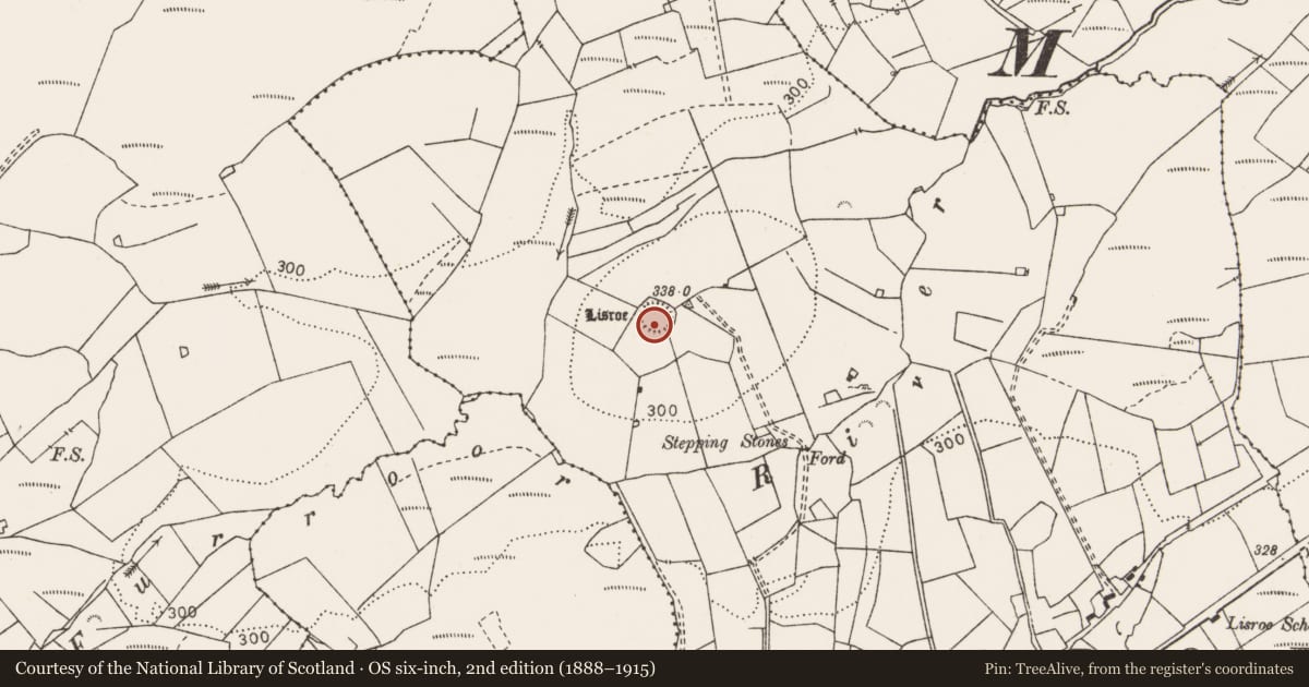 Ordnance Survey six-inch map, 2nd edition (1888–1915) covering the location of Ringfort - rath, Lisroe, County Clare, with a pin at the register's coordinates