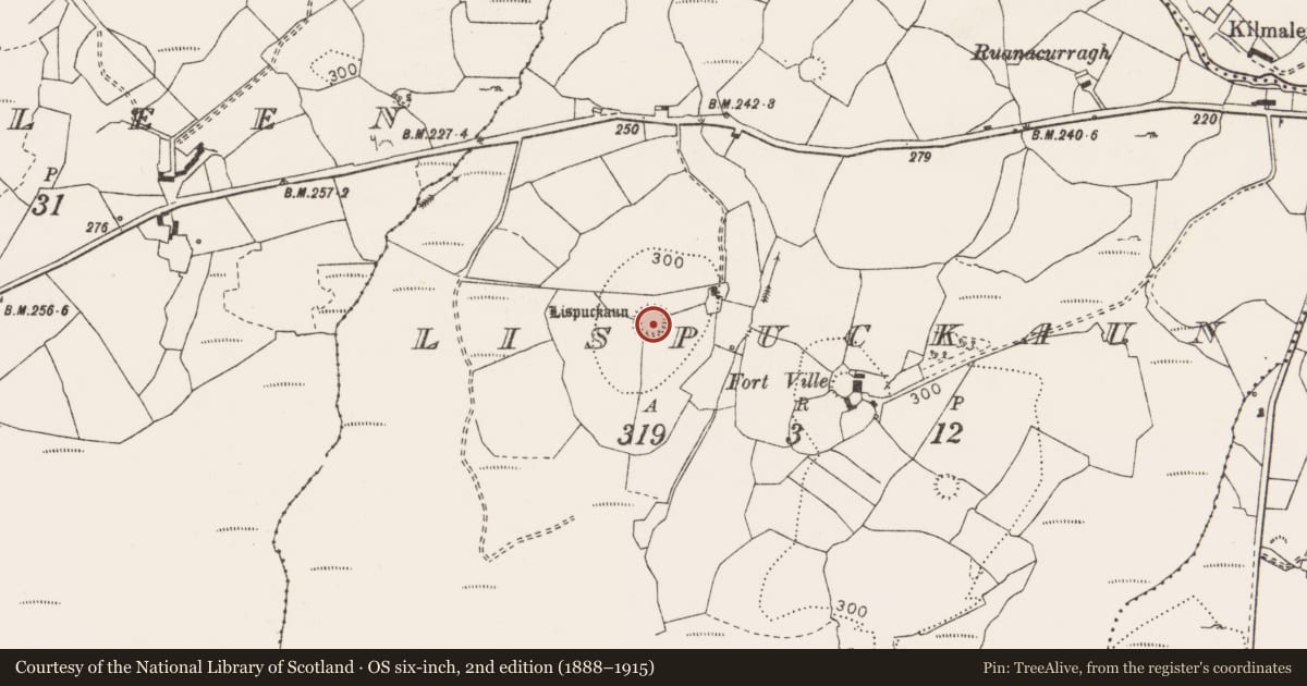 Ordnance Survey six-inch map, 2nd edition (1888–1915) covering the location of Ringfort - rath, Lispuckaun, County Clare, with a pin at the register's coordinates