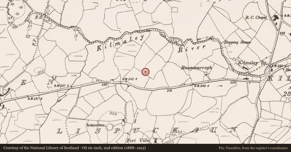 Ordnance Survey six-inch map, 2nd edition (1888–1915) covering the location of Ringfort - rath, Lispuckaun, County Clare, with a pin at the register's coordinates
