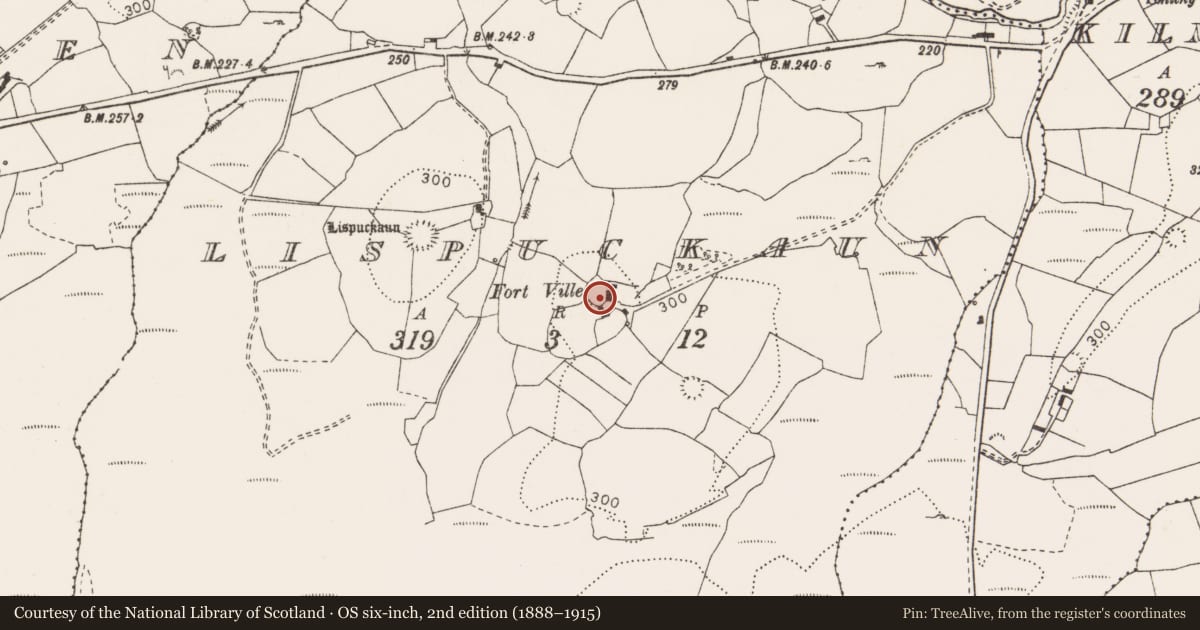 Ordnance Survey six-inch map, 2nd edition (1888–1915) covering the location of Ringfort - rath, Lispuckaun, County Clare, with a pin at the register's coordinates