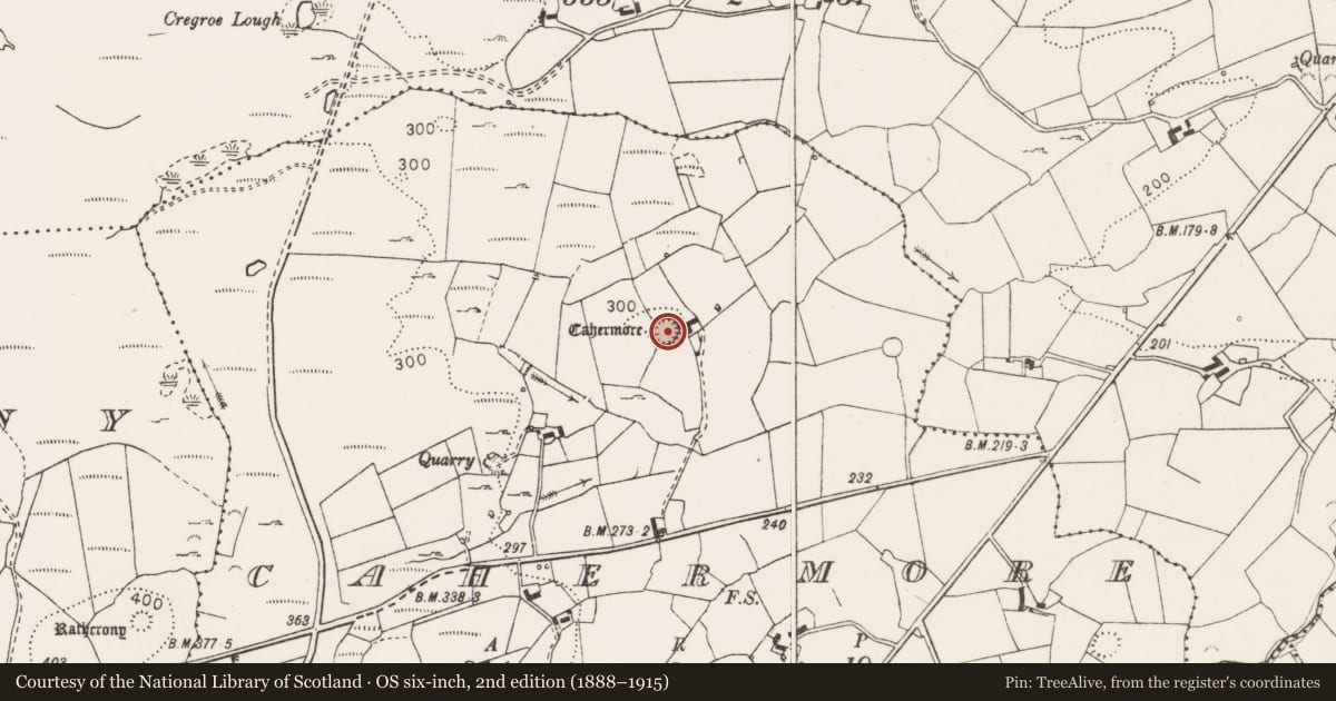 Ordnance Survey six-inch map, 2nd edition (1888–1915) covering the location of Ringfort - cashel, Cahermore, County Clare, with a pin at the register's coordinates