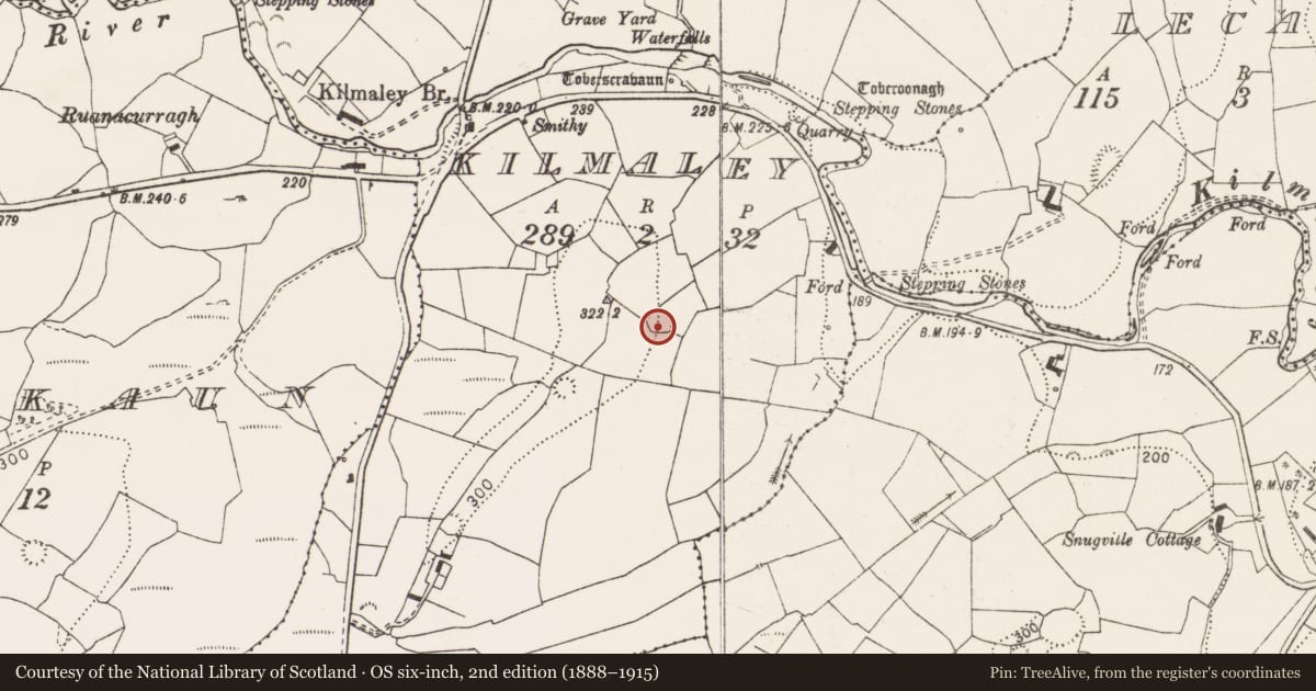Ordnance Survey six-inch map, 2nd edition (1888–1915) covering the location of Ringfort - rath, Kilmaley, County Clare, with a pin at the register's coordinates
