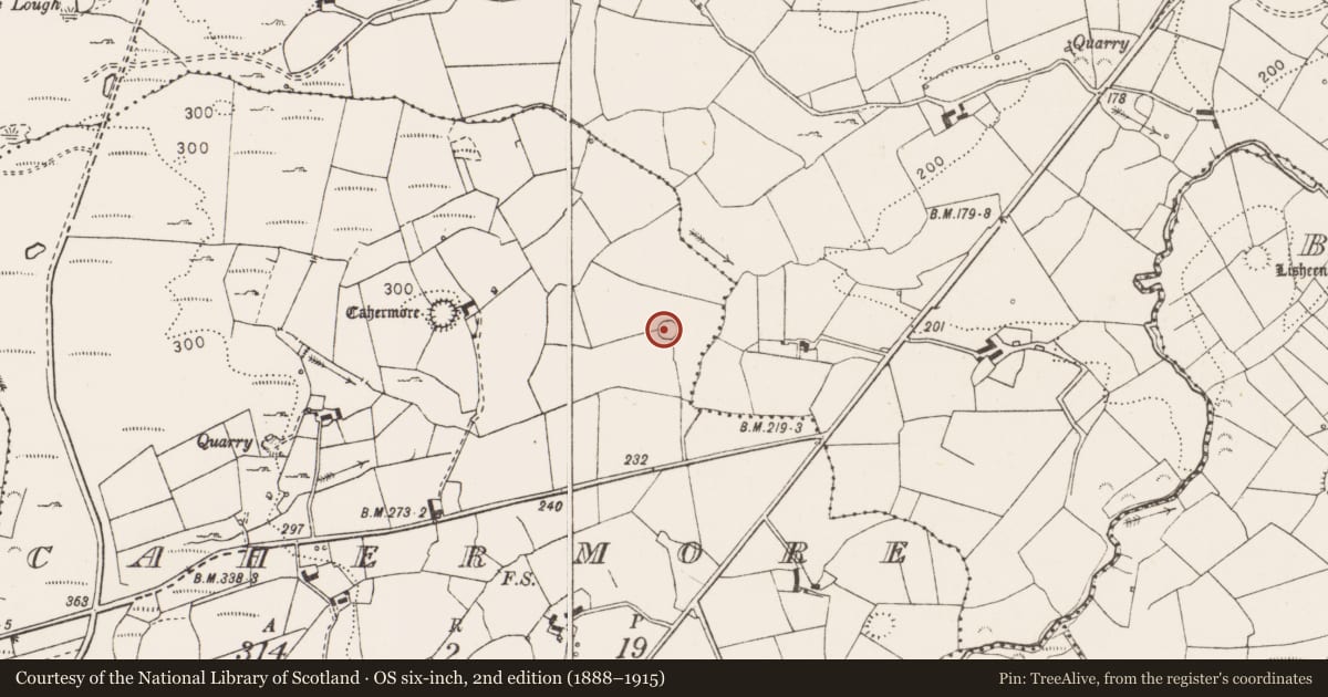 Ordnance Survey six-inch map, 2nd edition (1888–1915) covering the location of Ringfort - cashel, Cahermore, County Clare, with a pin at the register's coordinates