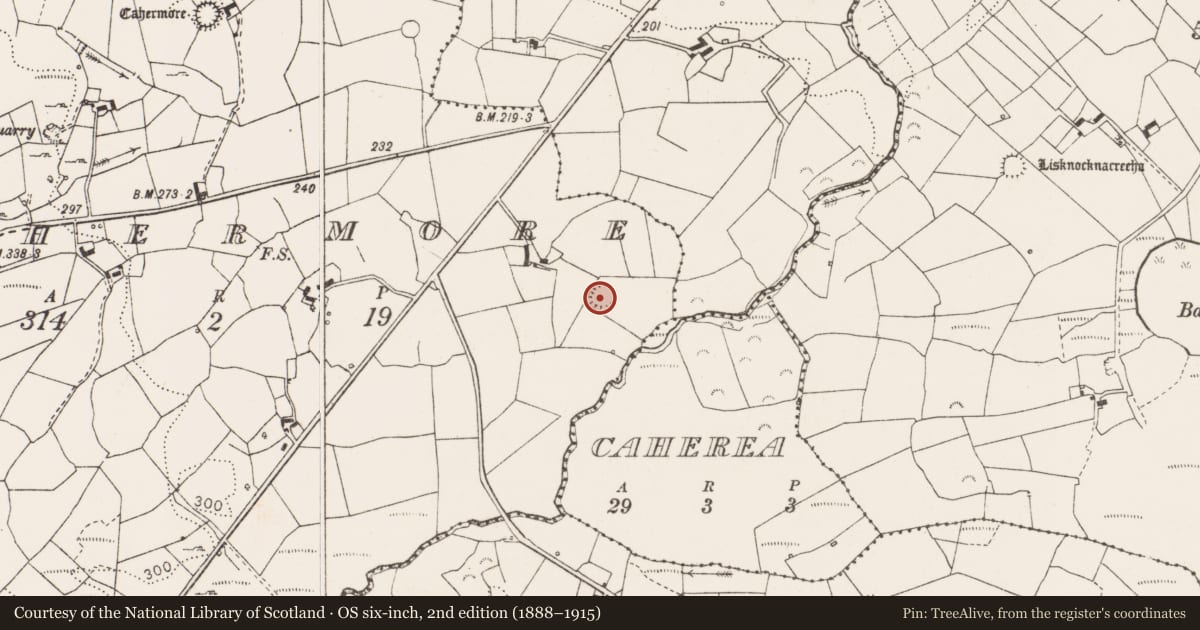 Ordnance Survey six-inch map, 2nd edition (1888–1915) covering the location of Ringfort - rath, Cahermore, County Clare, with a pin at the register's coordinates