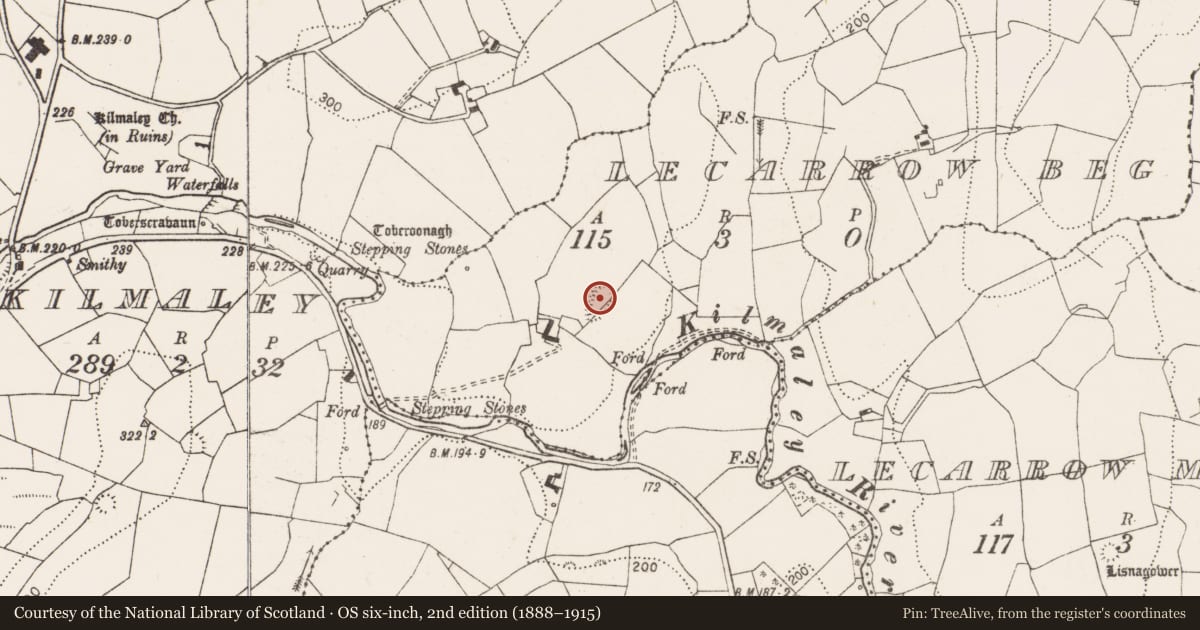 Ordnance Survey six-inch map, 2nd edition (1888–1915) covering the location of Enclosure, Lecarrow Beg, County Clare, with a pin at the register's coordinates