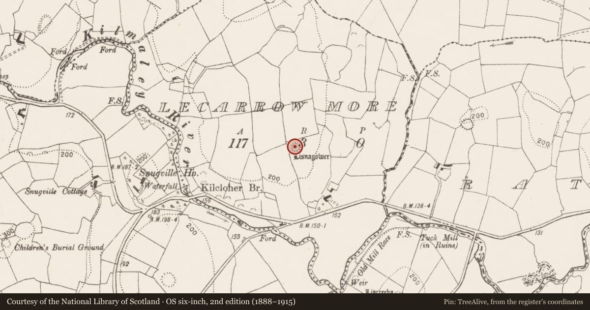 Ordnance Survey six-inch map, 2nd edition (1888–1915) covering the location of Ringfort - rath, Lecarrow More, County Clare, with a pin at the register's coordinates