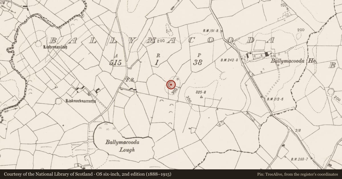 Ordnance Survey six-inch map, 2nd edition (1888–1915) covering the location of Ringfort - rath, Ballymacooda, County Clare, with a pin at the register's coordinates