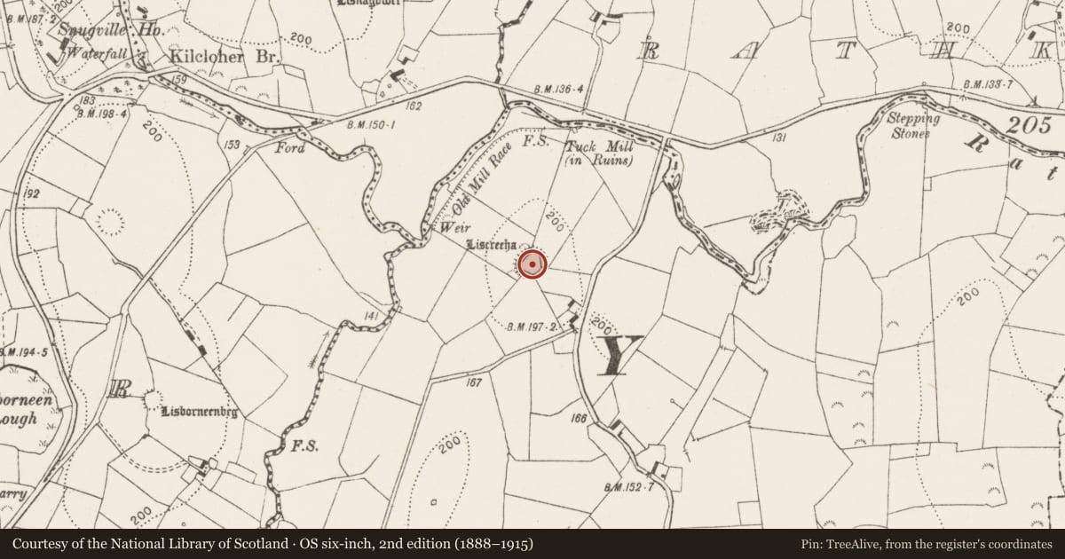 Ordnance Survey six-inch map, 2nd edition (1888–1915) covering the location of Ringfort - rath, Ballymacooda, County Clare, with a pin at the register's coordinates