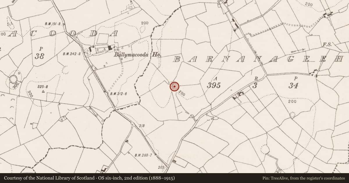 Ordnance Survey six-inch map, 2nd edition (1888–1915) covering the location of Enclosure, Barnanageeha, County Clare, with a pin at the register's coordinates
