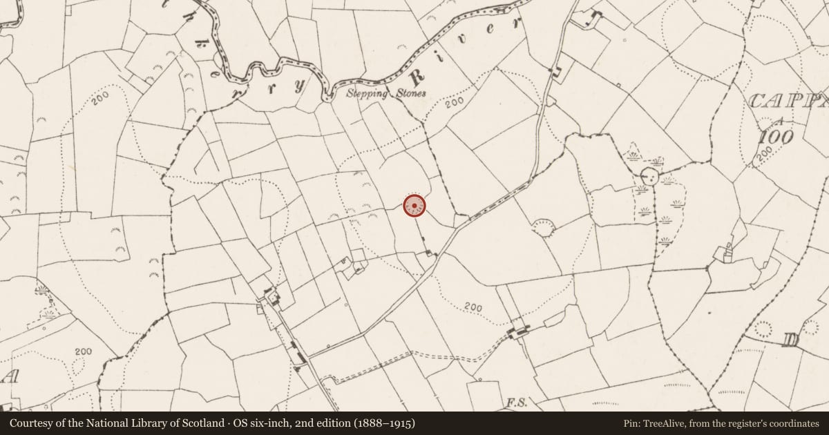 Ordnance Survey six-inch map, 2nd edition (1888–1915) covering the location of Ringfort - rath, Barnanageeha, County Clare, with a pin at the register's coordinates
