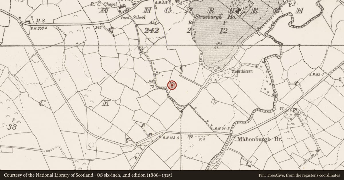 Ordnance Survey six-inch map, 2nd edition (1888–1915) covering the location of Ringfort - rath, Mahonburgh, County Clare, with a pin at the register's coordinates
