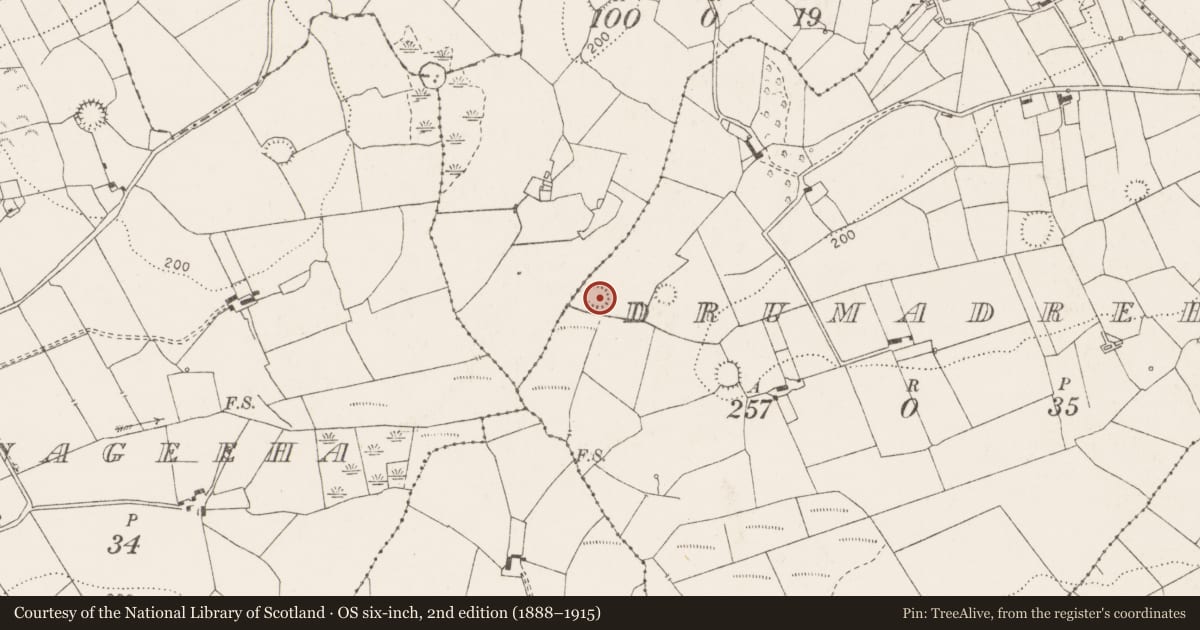 Ordnance Survey six-inch map, 2nd edition (1888–1915) covering the location of Ringfort - rath, Drumadrehid, County Clare, with a pin at the register's coordinates